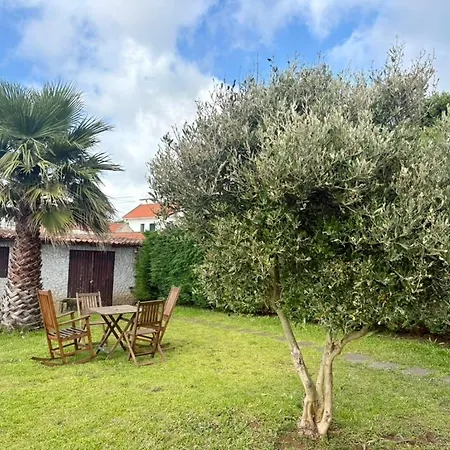 Monte-mar Holiday home *